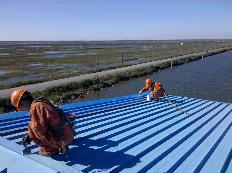 钢城彩钢瓦屋面防腐翻新